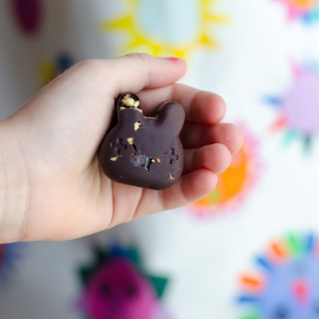 Healthy Chocolate Bunnies
