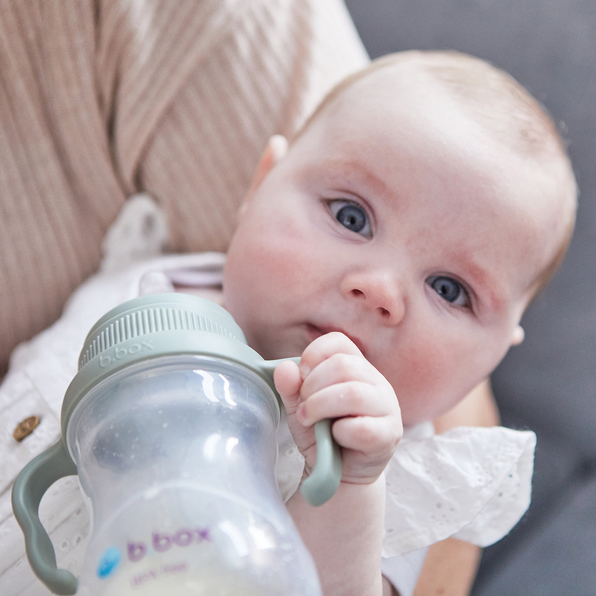 B.box Transition Value Pack