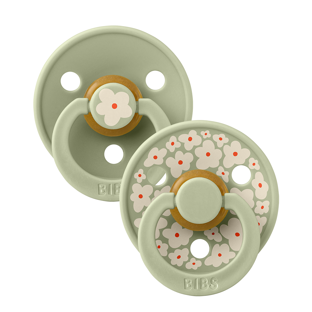 Bibs Dummies Studio Colour Round Collection Size 1