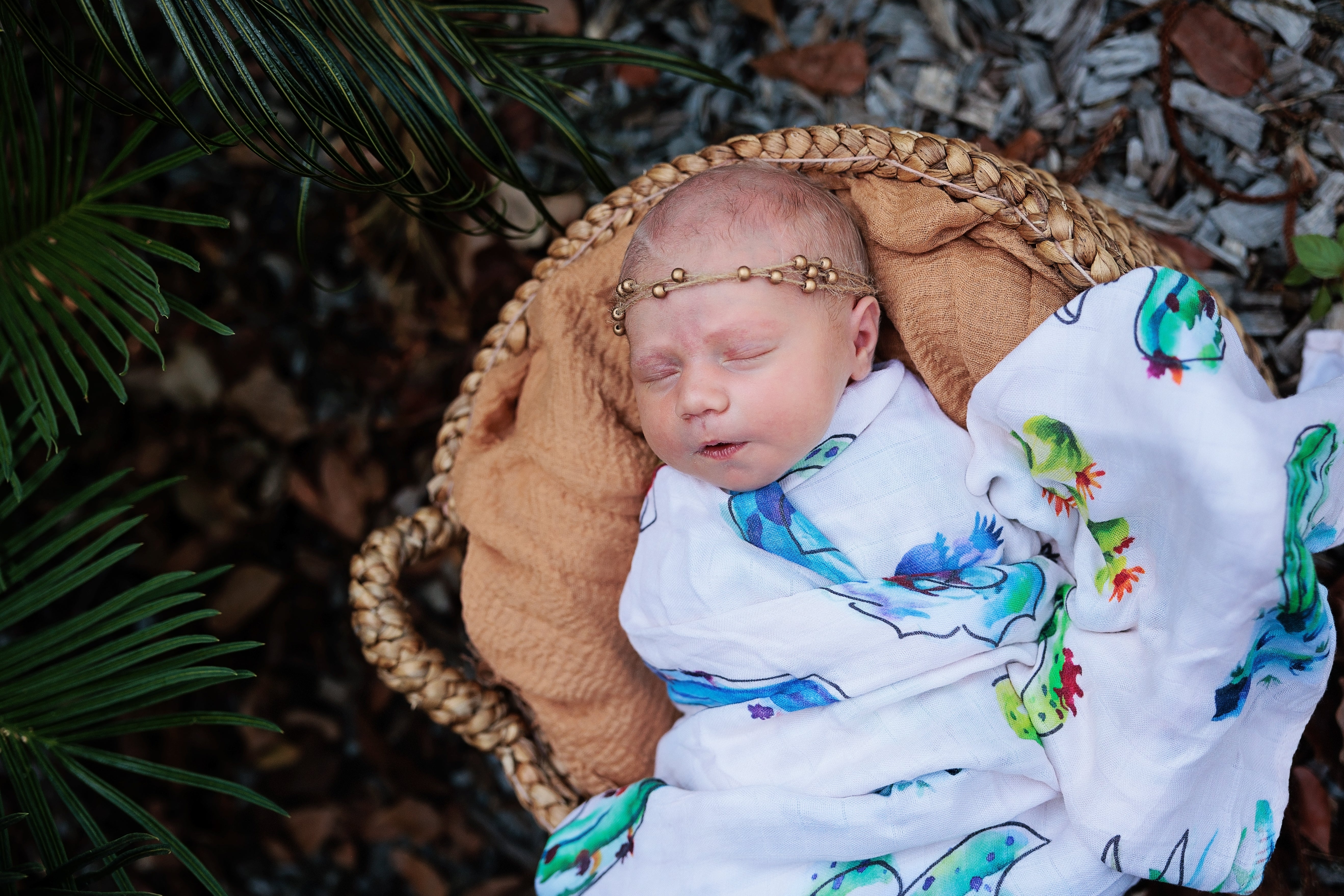 Treehouse Lane Designs Cacti Garden Bamboo Muslin Wrap