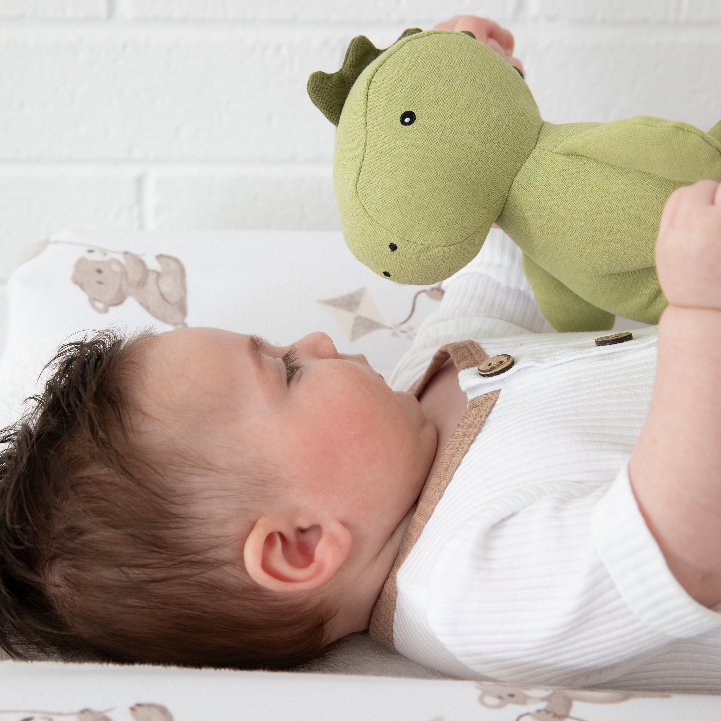 Dennis The Dinosaur Linen Toy