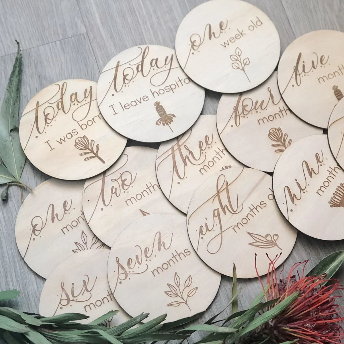 Hello Fern Wooden Month Milestone Discs - Australiana