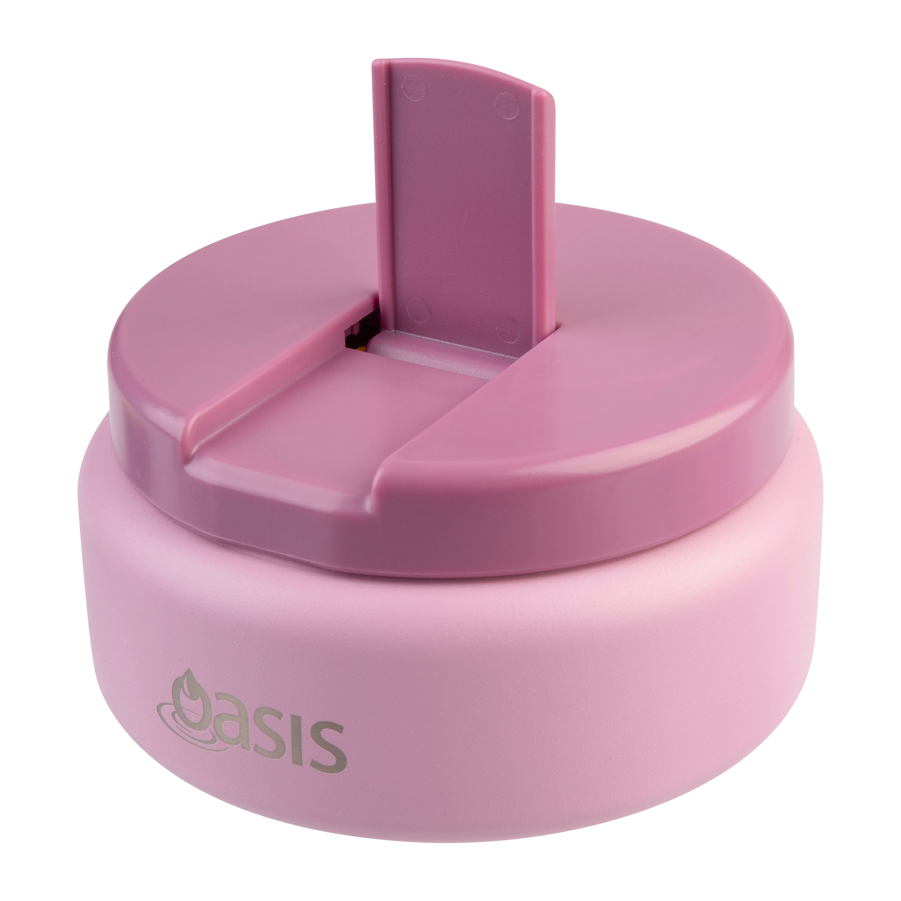 Oasis Stainless Steel Double Wall Insulated Food Flask with Quick Release Lid 230ml
