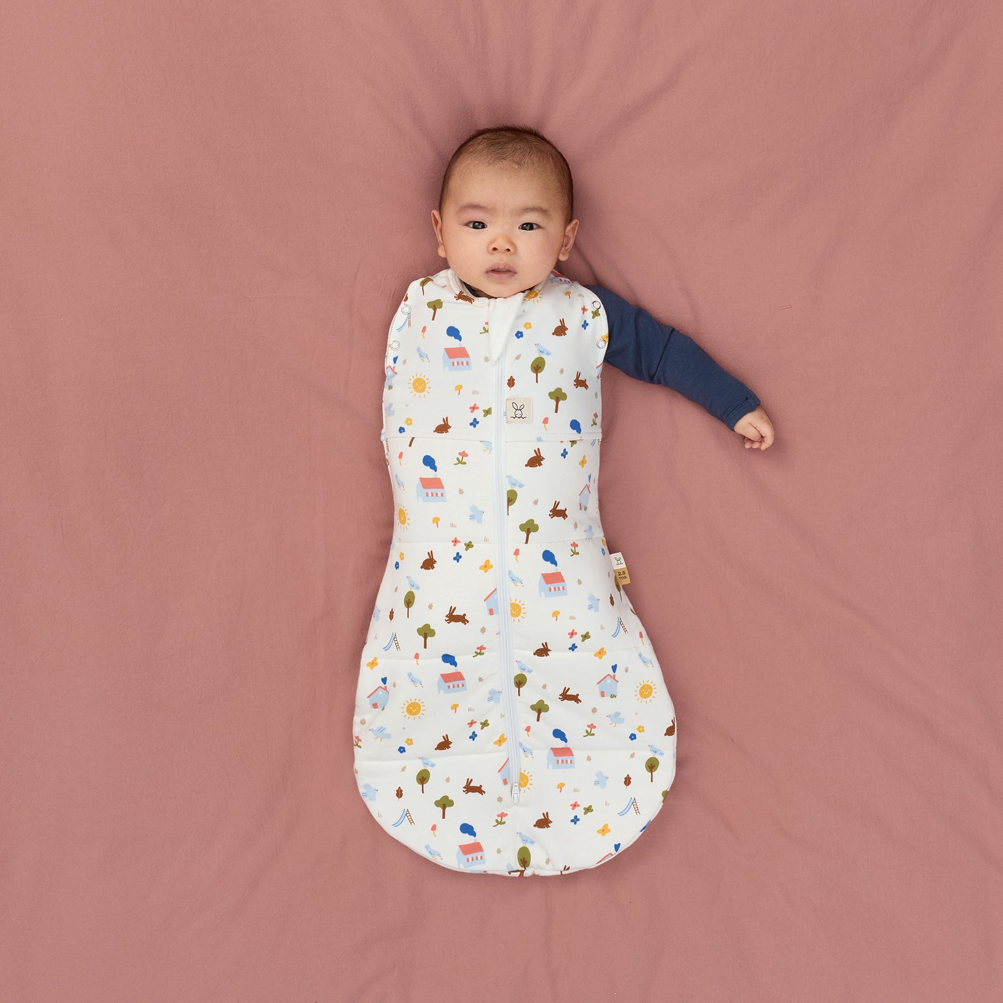 ergoPouch Cocoon Swaddle Daydream 2.5 tog