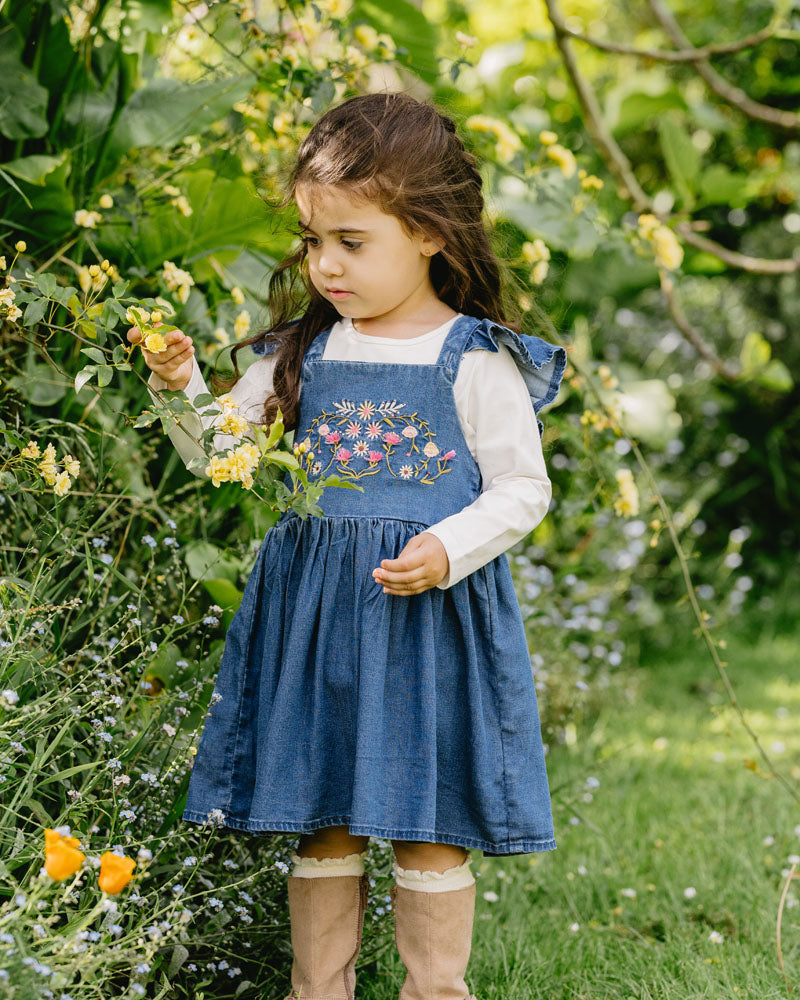 Fox & Finch Wild Horses Denim Dress