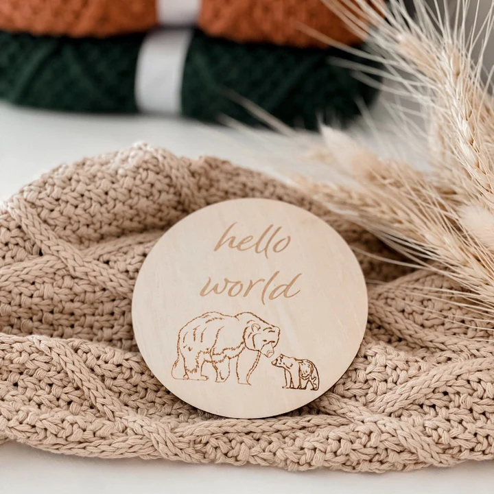 Hello World Mumma Bear Announcement Disc