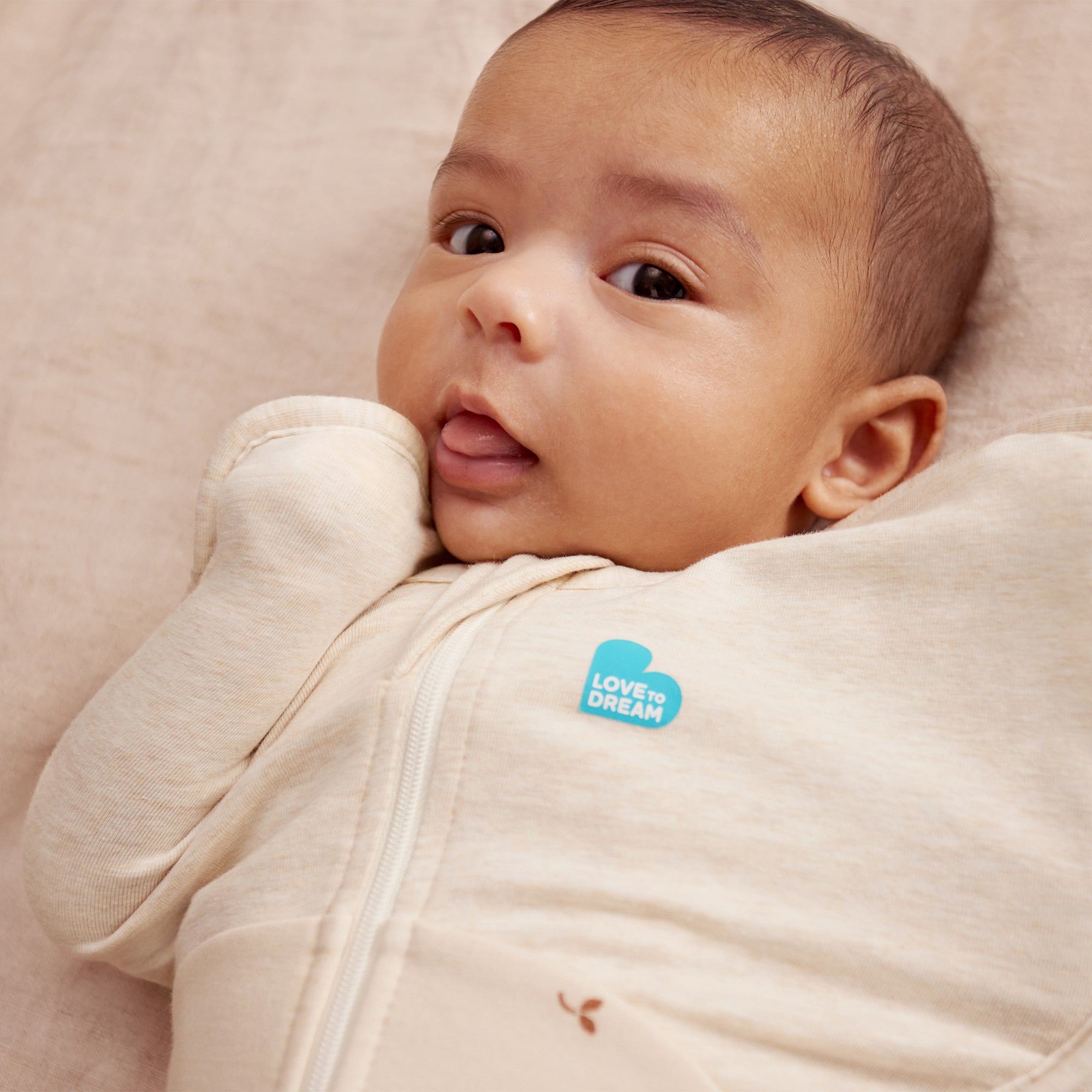 Love to Dream Swaddle Up 1.5 tog Stretch Cotton Fleece Twigs Oatmeal