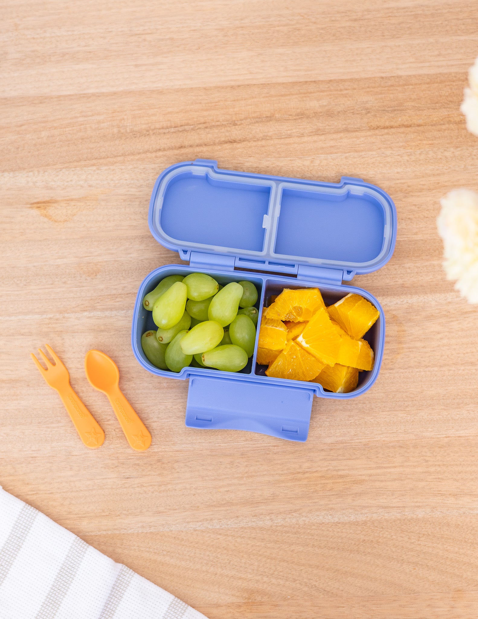 MontiiCo Snack Lunch Box - Splash