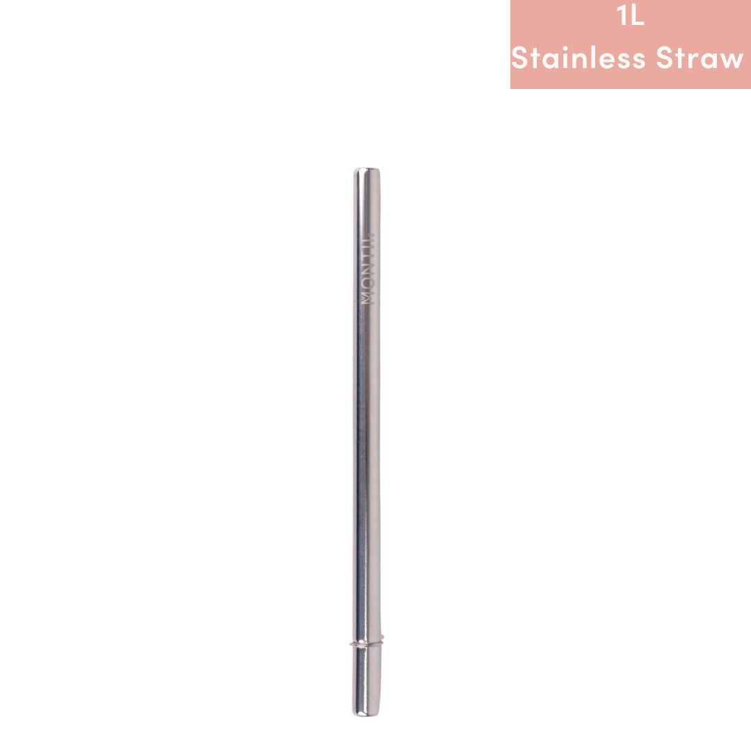 Montiico Fusion Smoothie Straw Stainless Steel