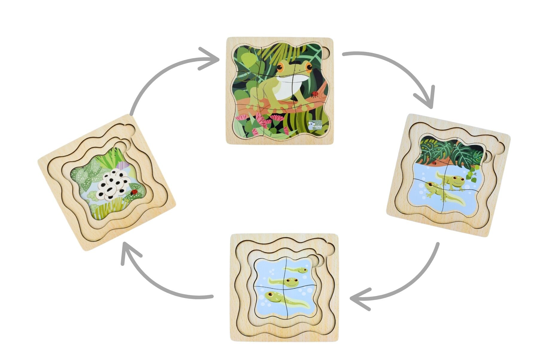 Wooden Bush Buddies Life Cycle Layer Puzzle Green Tree Frog