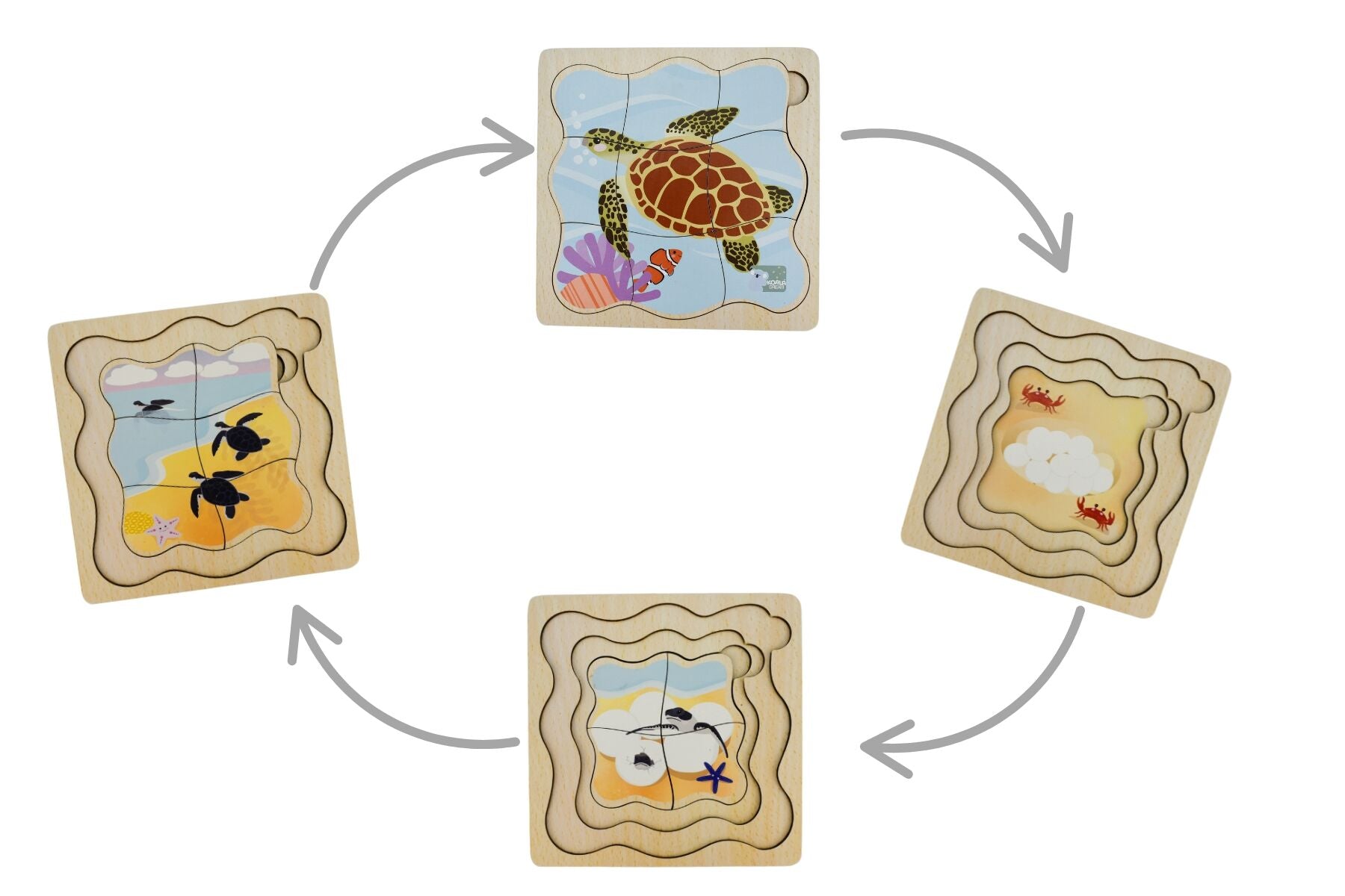 Wooden Bush Buddies Life Cycle Layer Puzzle Green Sea Turtle