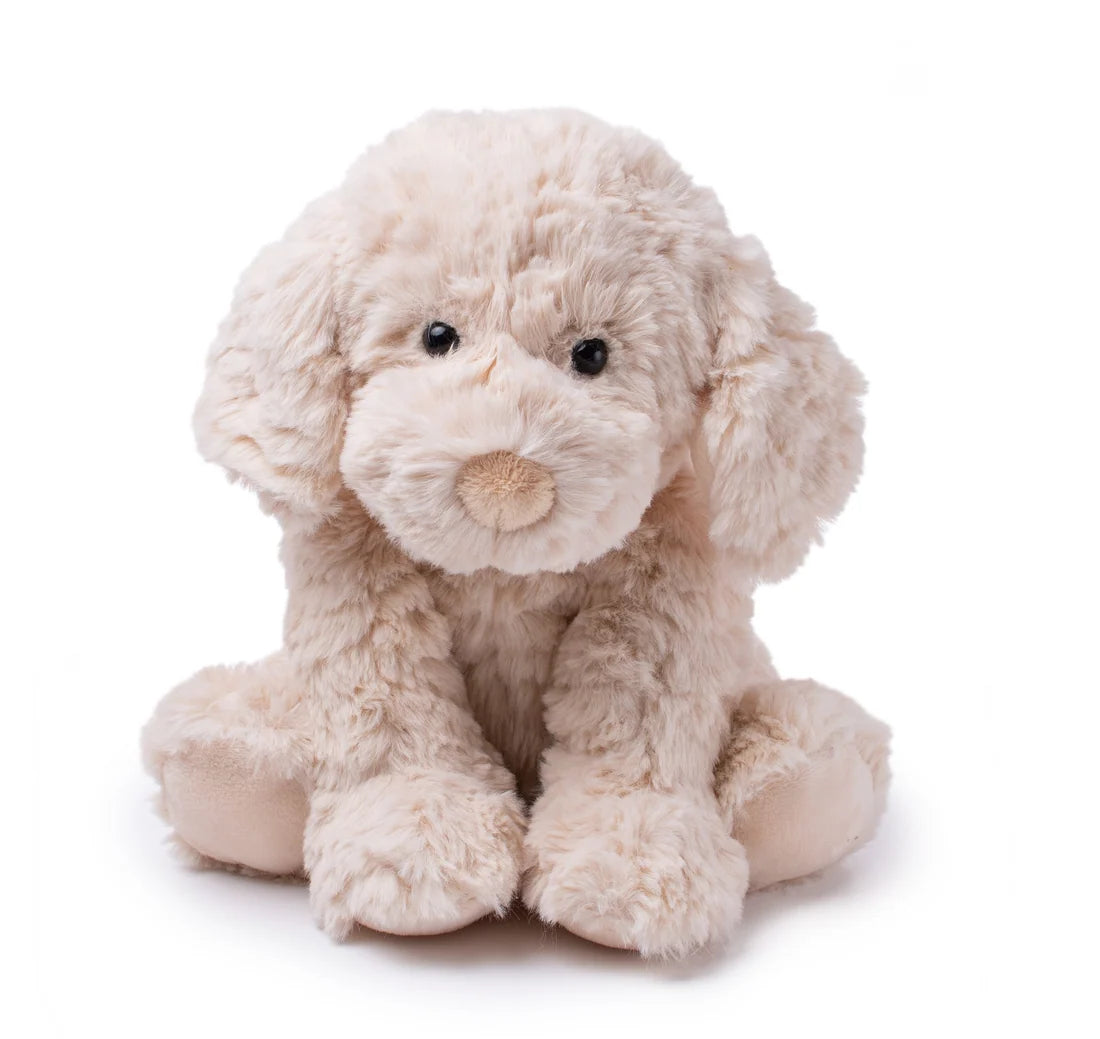 Petite Vous Monty The Labradoodle