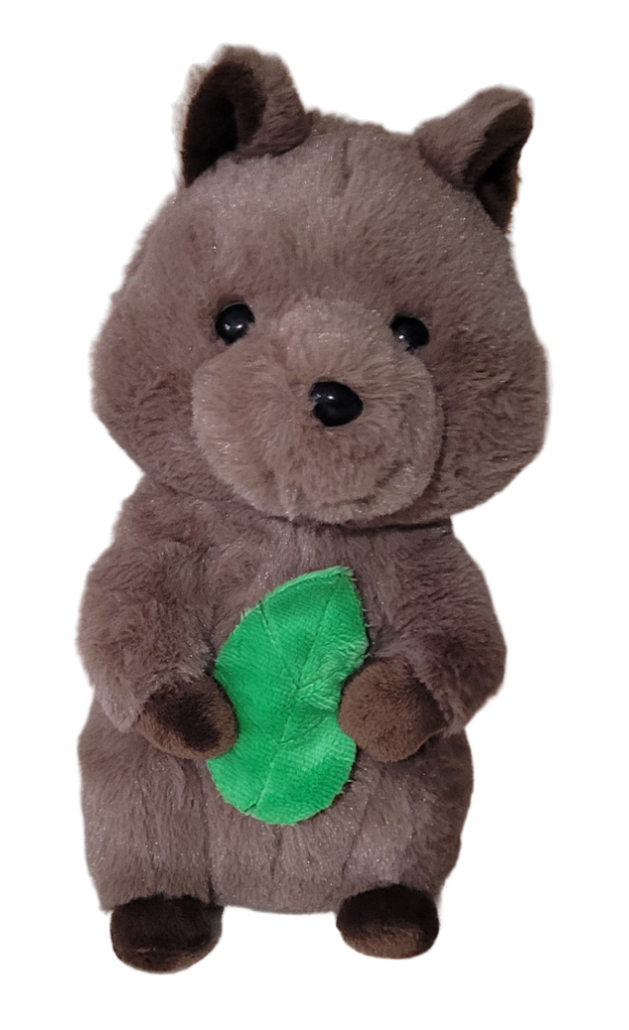 Petit Vous Banjo The Quokka