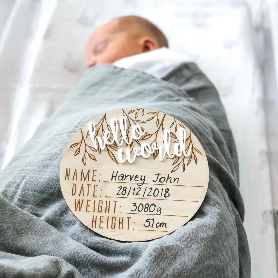 Hello Fern Hello World Wooden & Acrylic Birth Announcement Disc
