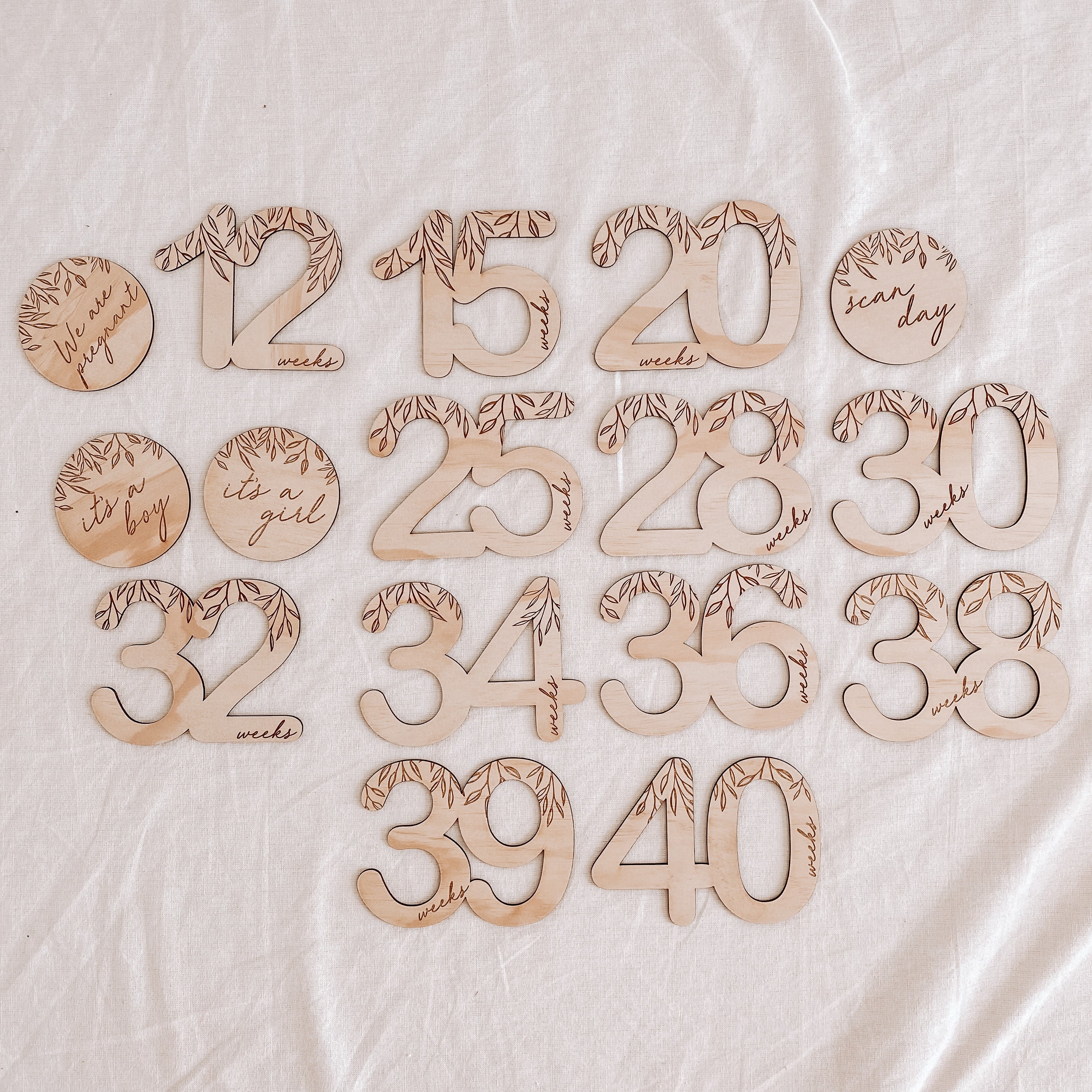 Hello Fern Wooden Pregnancy Month Milestone Card Discs - Vine