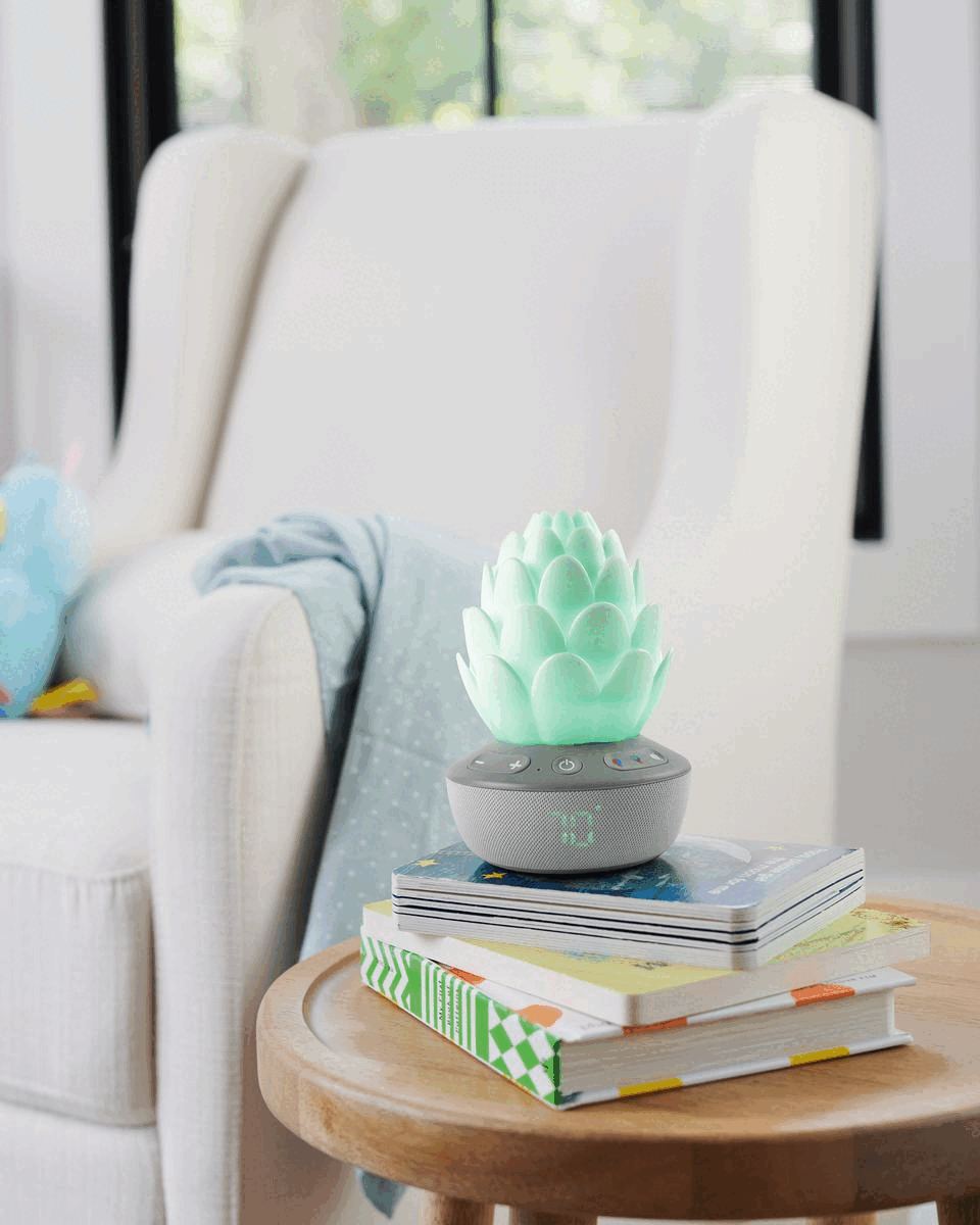 Skip Hop Terra Cry-activated Soother