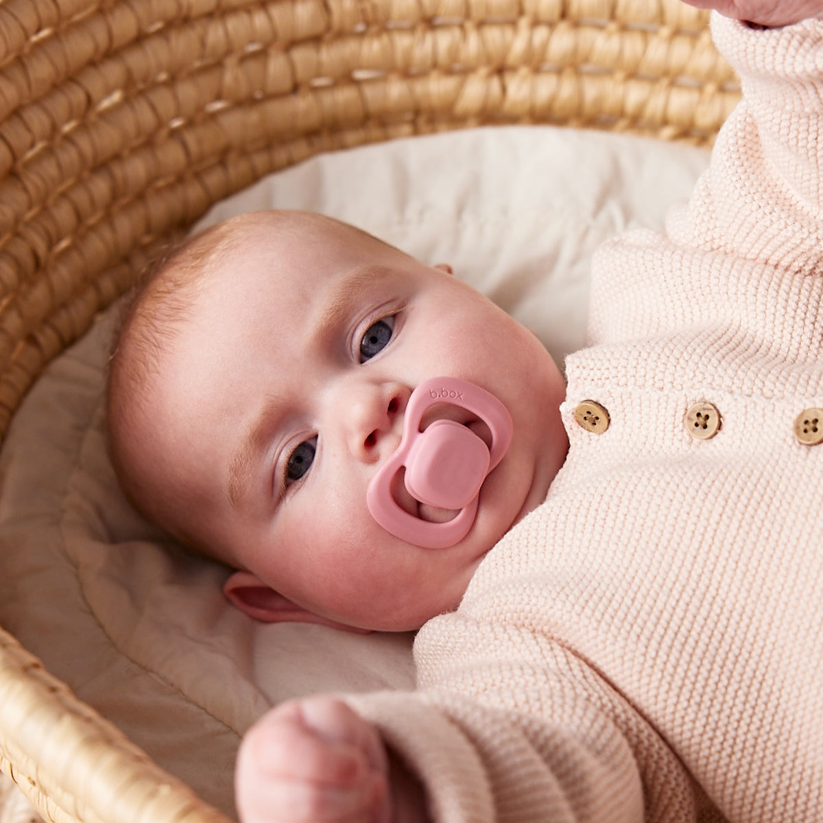 B.box Dummies/soothers 0-6 Months - Silicone