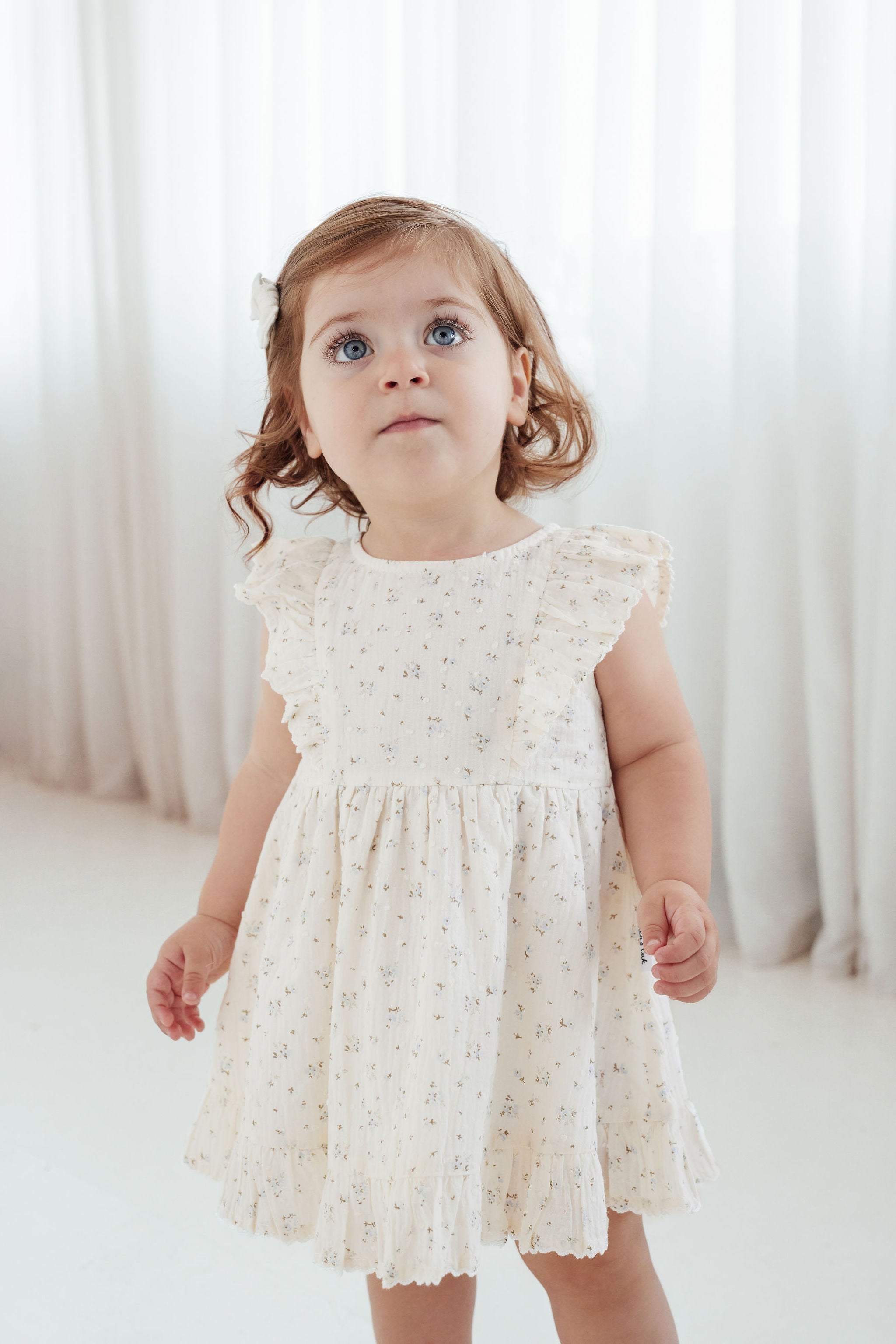 Aster & Oak Sofia Floral Ruffle Dress