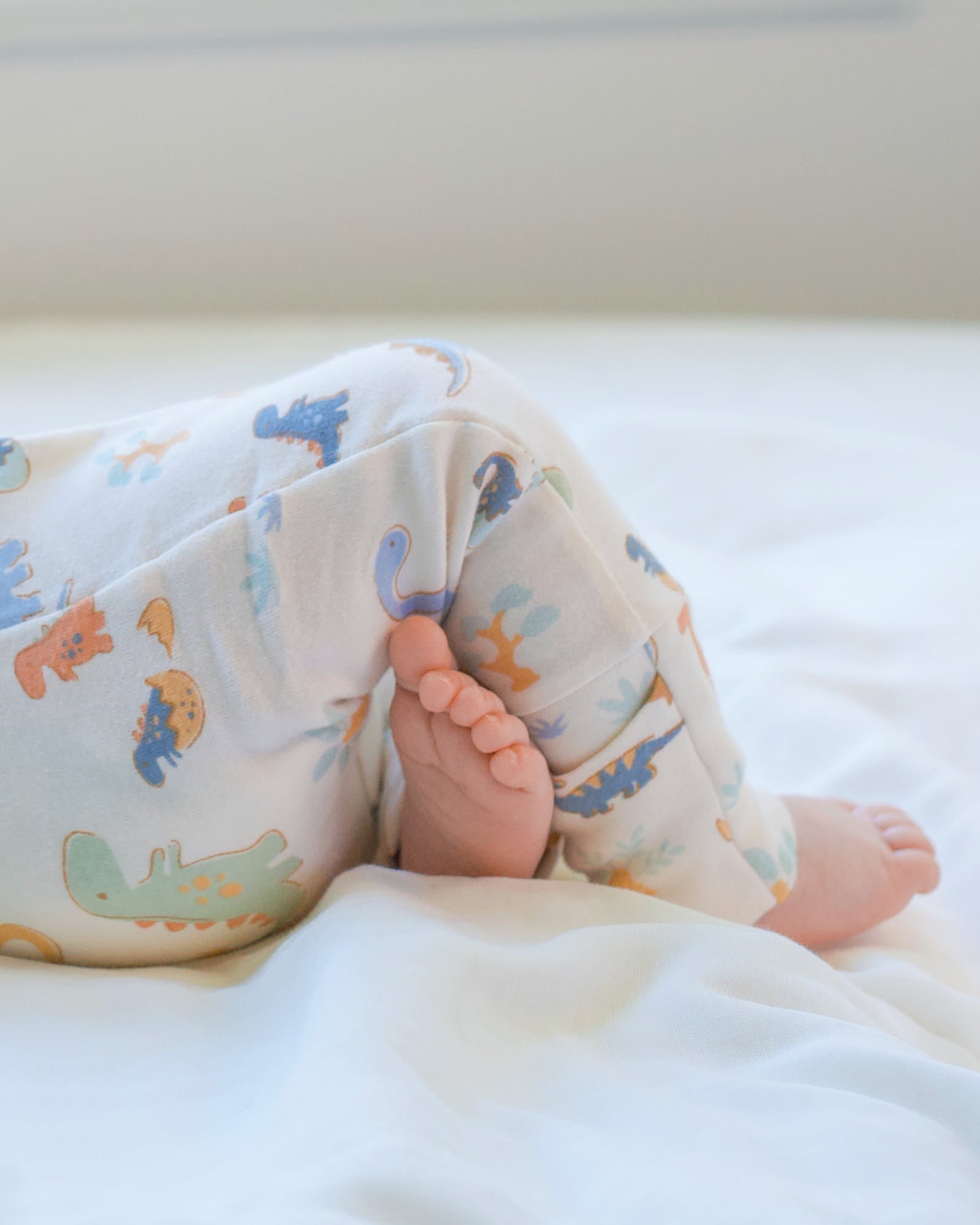 Toshi Long Sleeve Onesie Harvest Dino Bubs