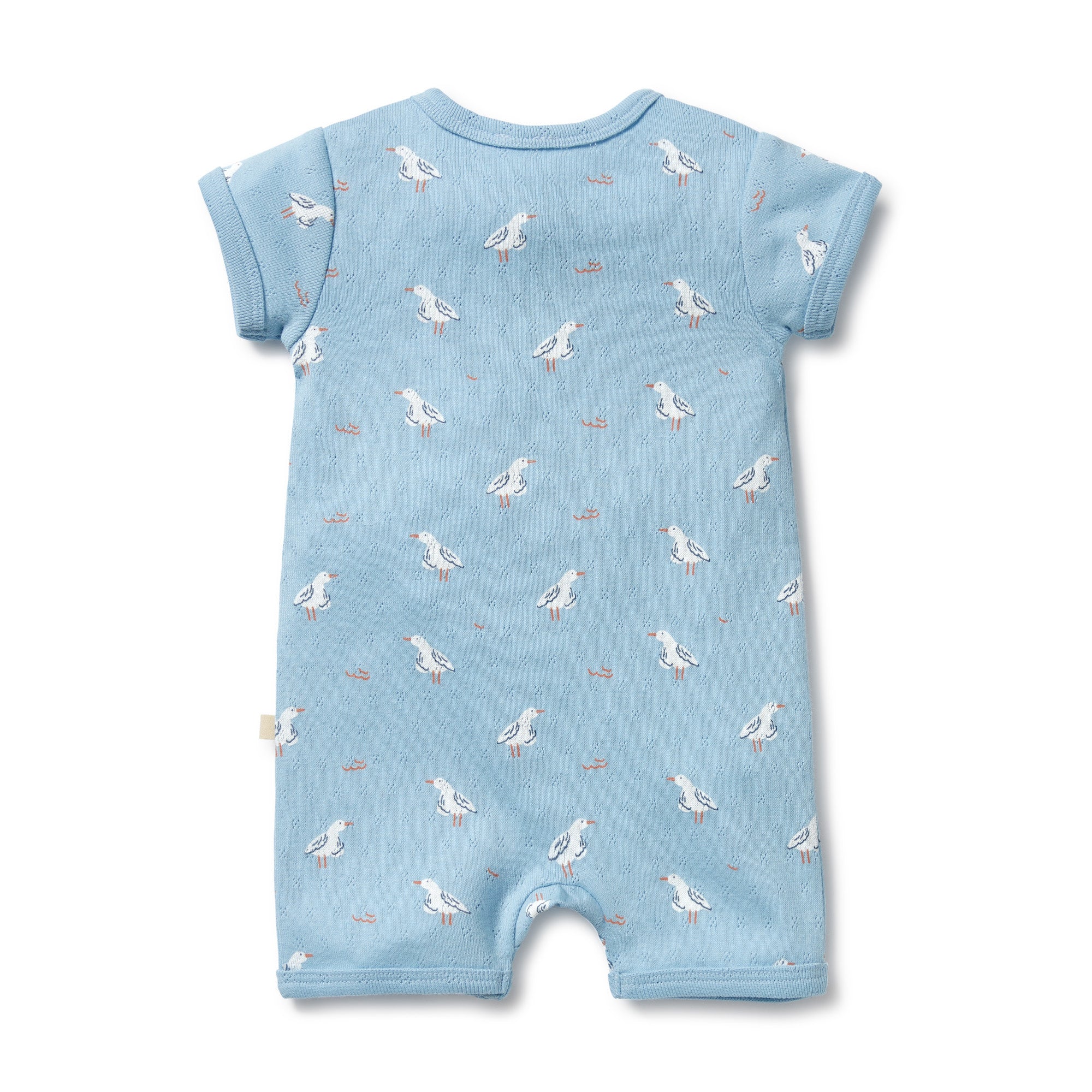 Wilson & Frenchy Sunny Seagulls Organic Pointelle Boyleg Zipsuit
