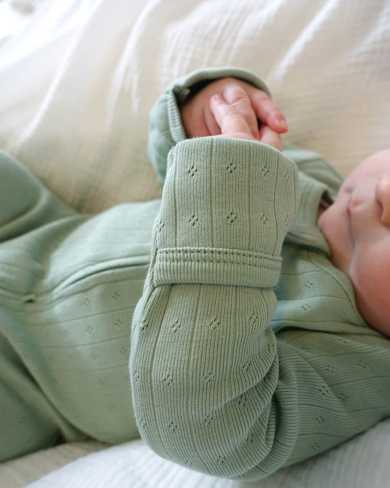 Bebe Sage Organic Pointelle Long Sleeve Zipsuit