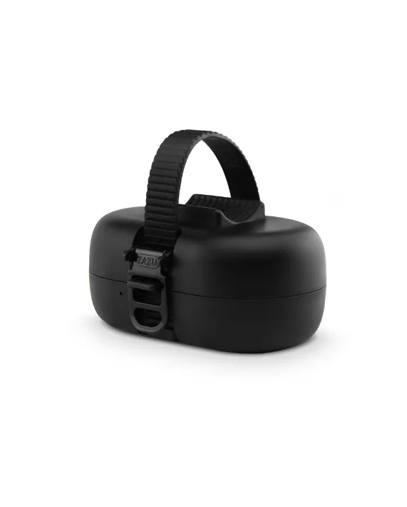 Zazu Robby The Rocker