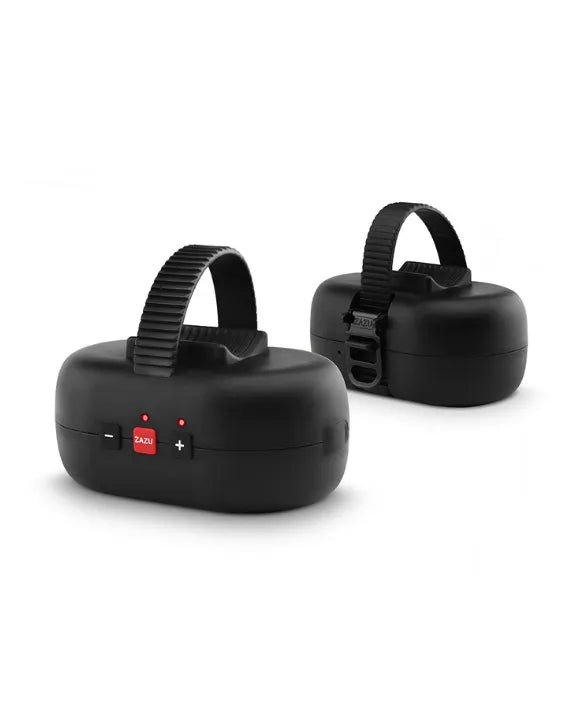 Zazu Robby The Rocker