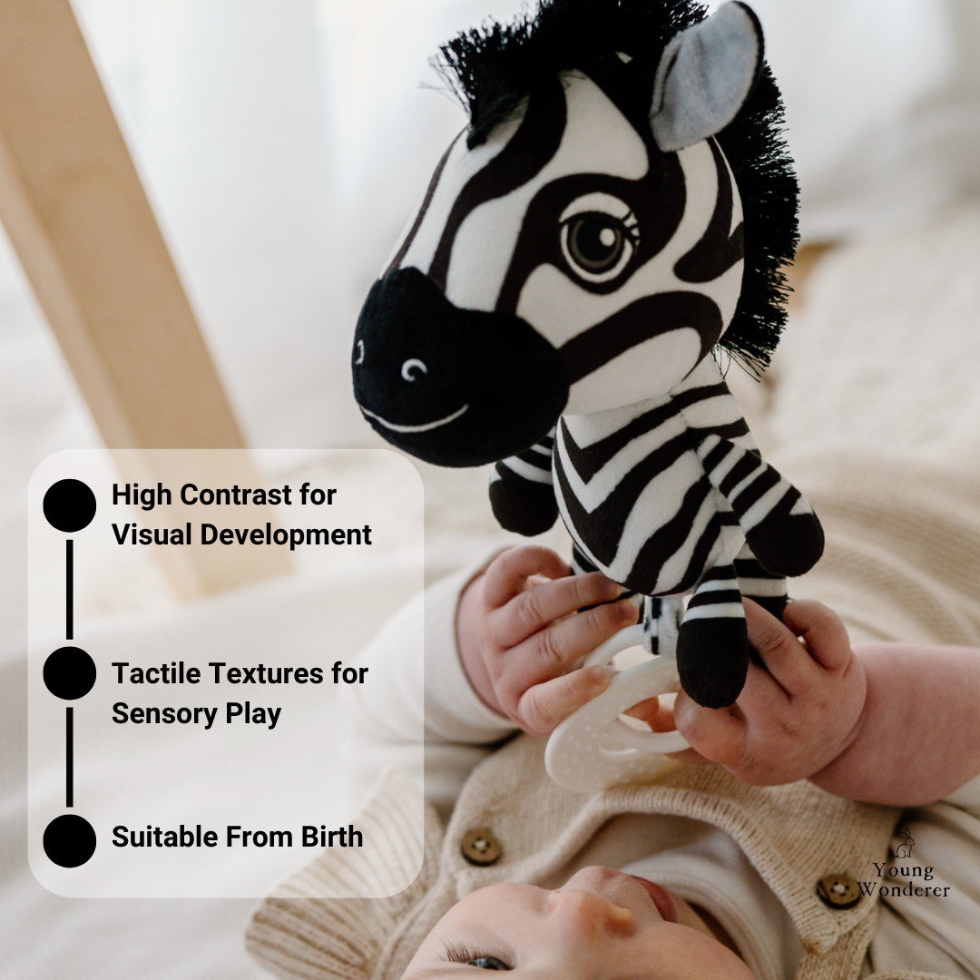 Young Wanderer Ziggy the Zebra Hanging Toy