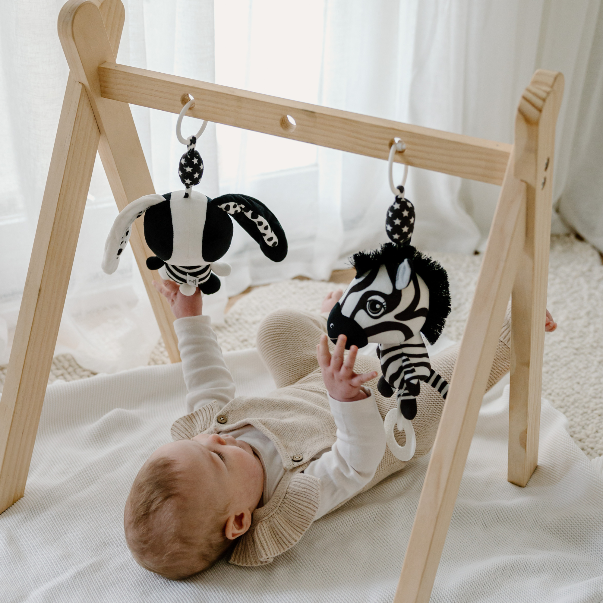 Young Wanderer Ziggy the Zebra Hanging Toy