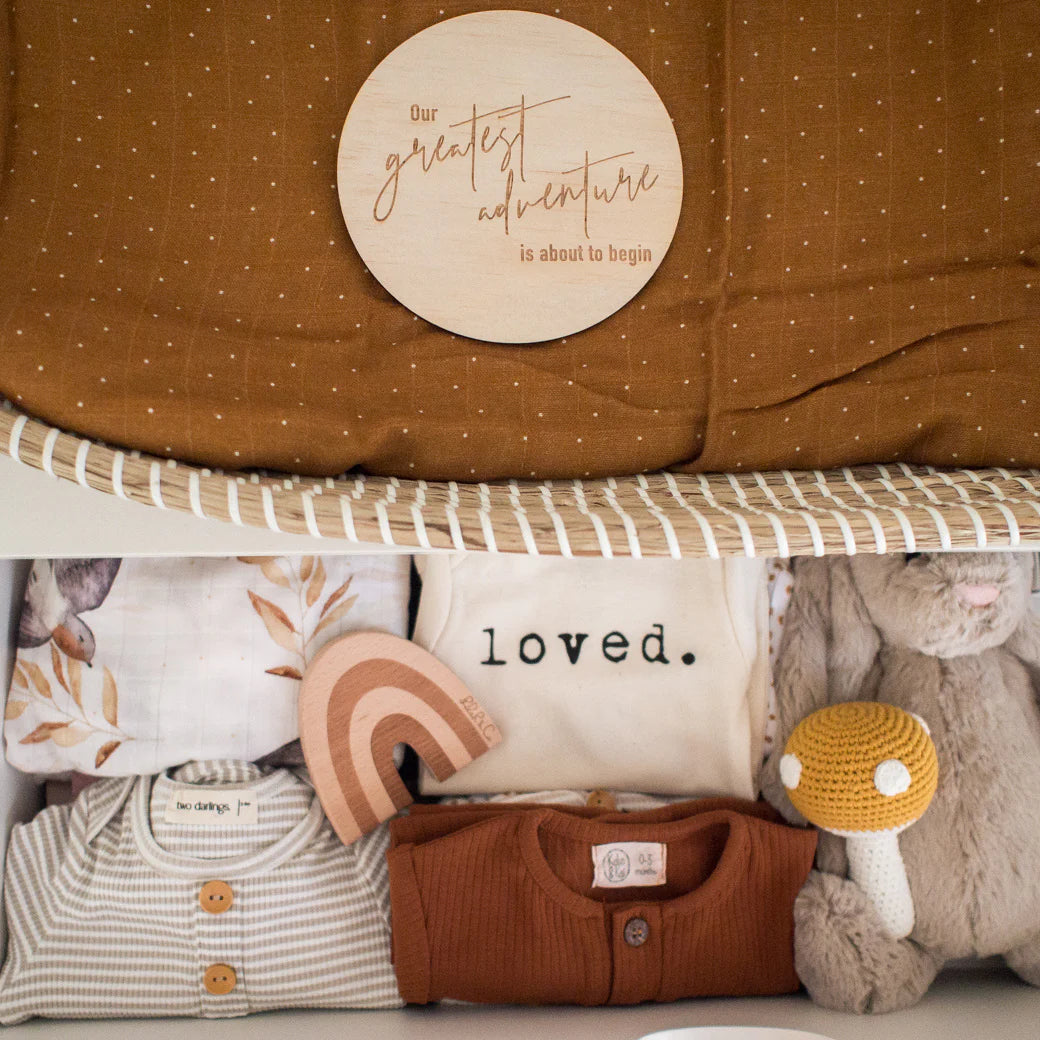 Hello Fern Single Announcement Disc - Our Greatest Adventure