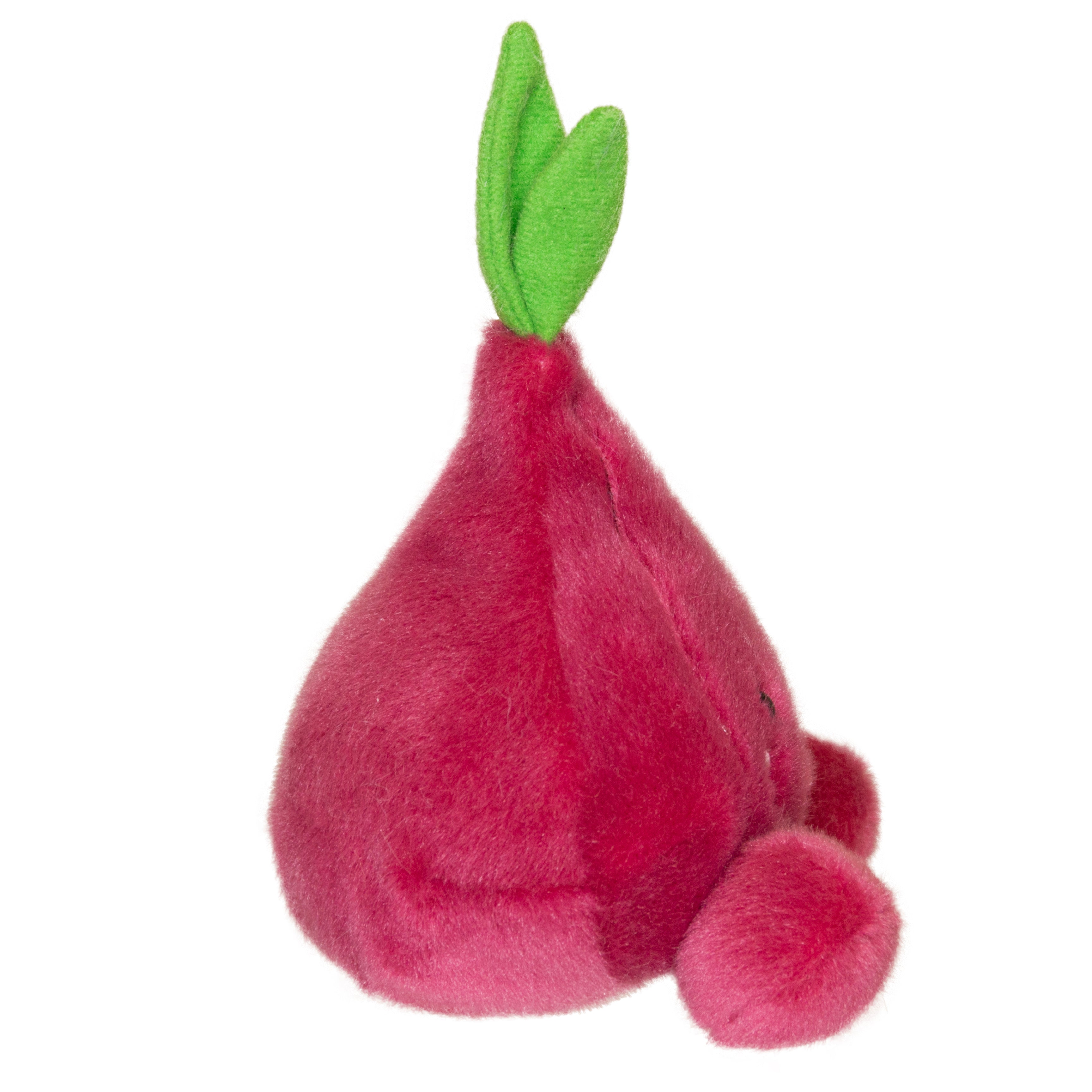 Palm Pal Red Onion