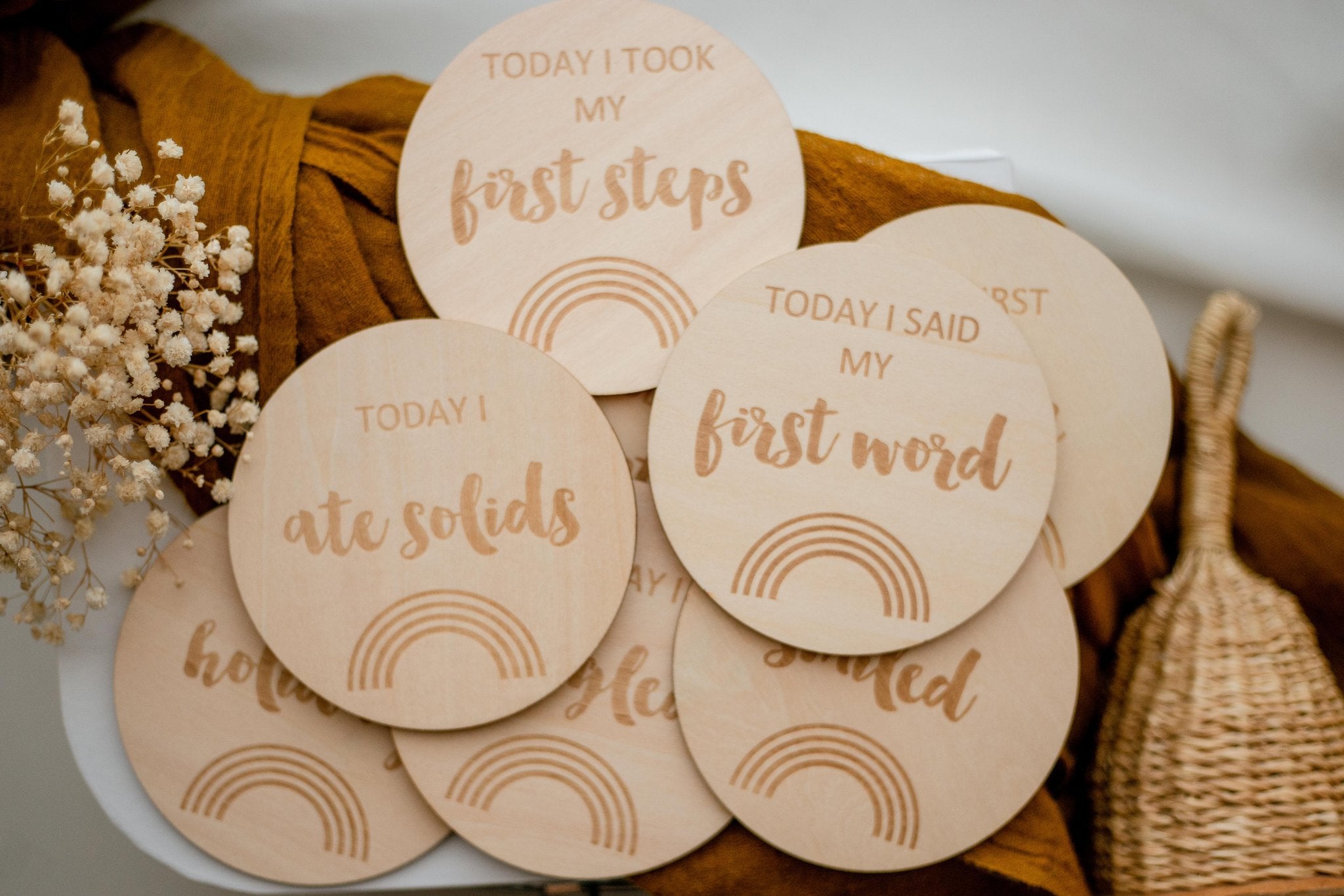 Zebra Babies Milestone Discs Rainbow I'm New Here - My First