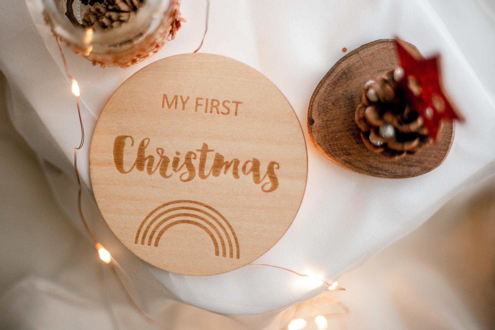 Zebra Babies Milestone Discs Rainbow I'm New Here - My First