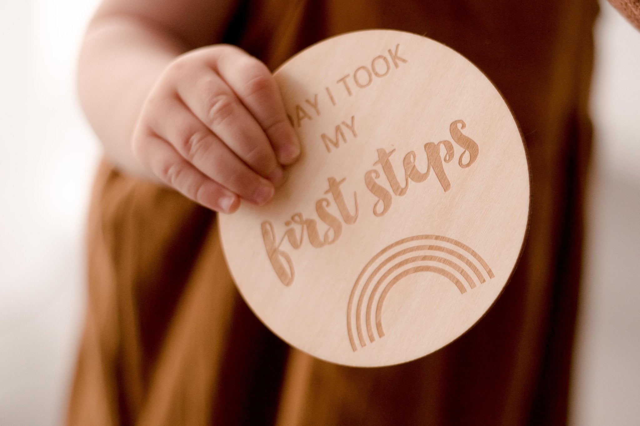 Zebra Babies Milestone Discs Rainbow I'm New Here - My First