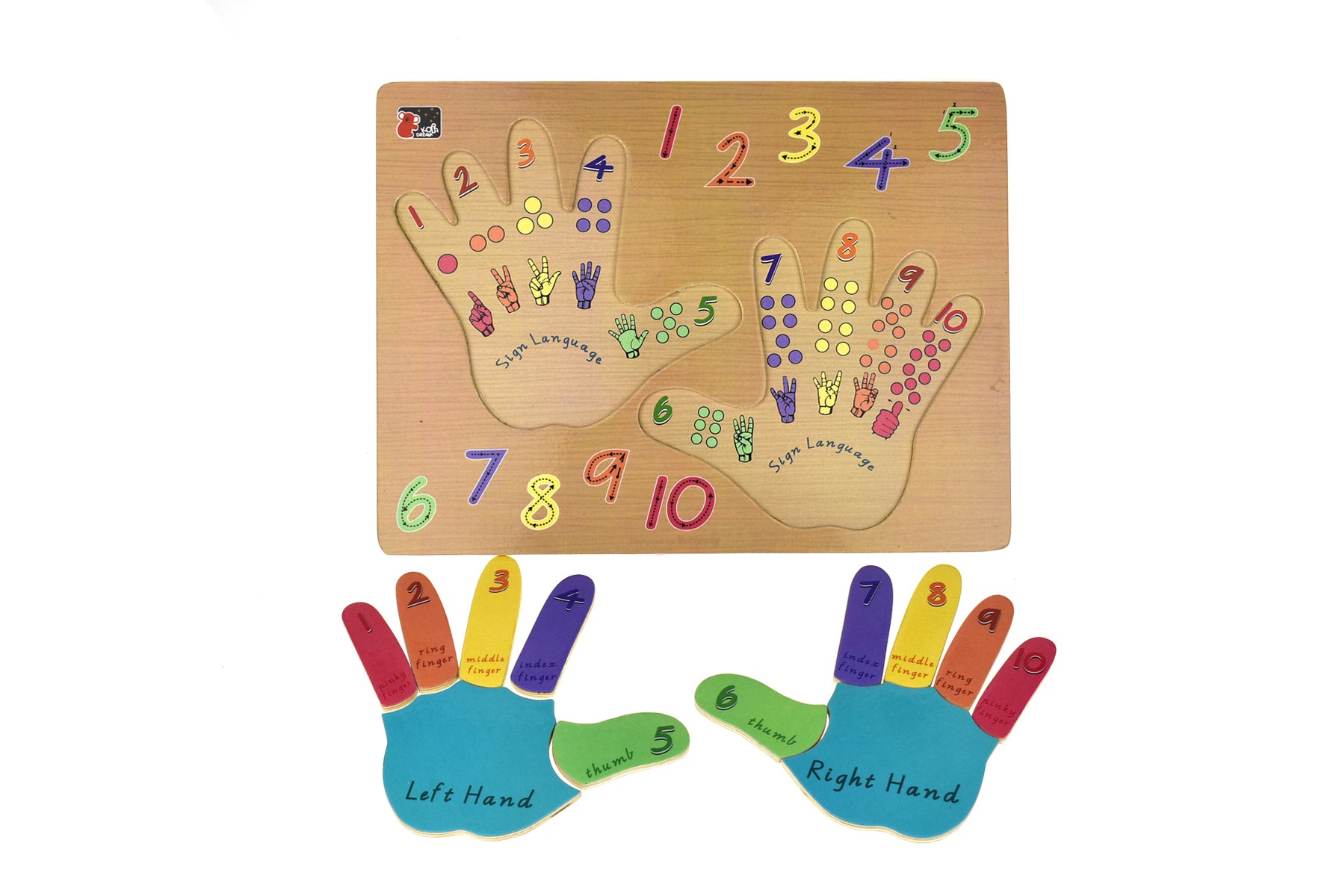 Left & Right Hand Puzzle