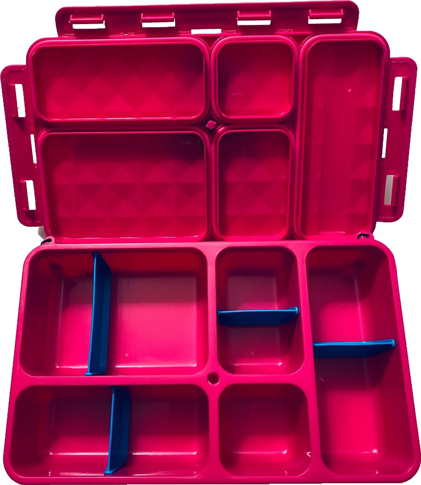 Go Green Lunchbox Divider - Purple