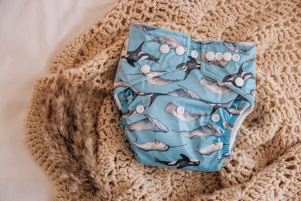 My Little Gumnut Cloth Nappy 1.0