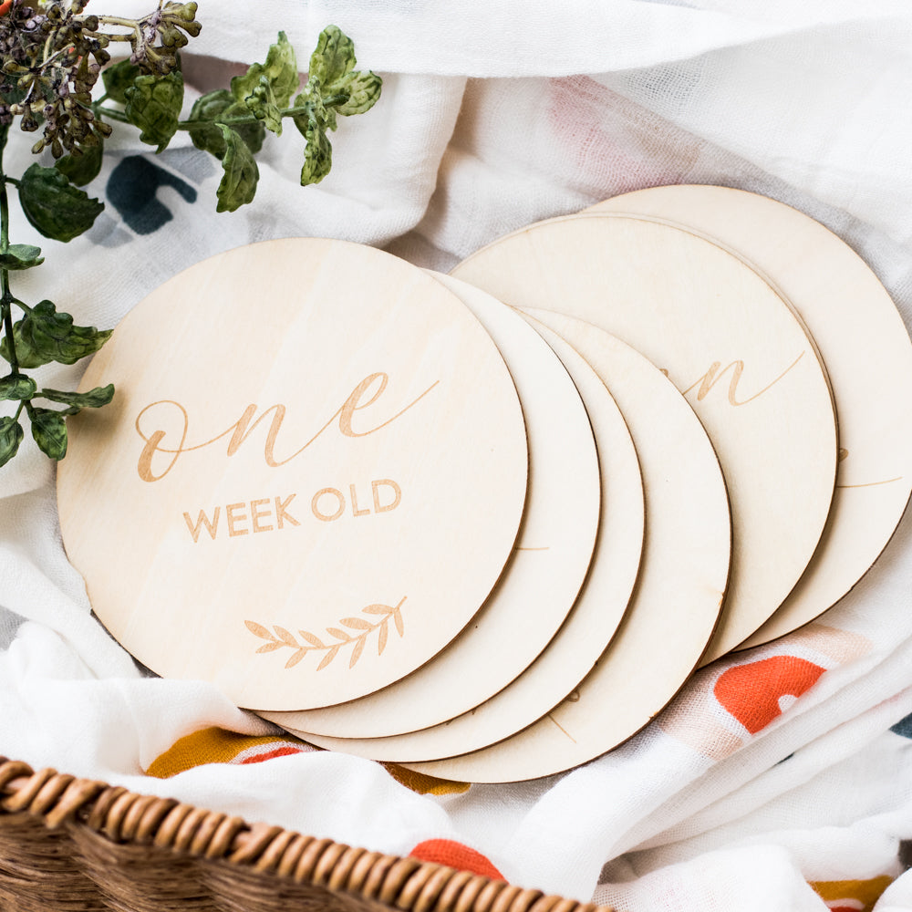 Zebra Babies Milestone Discs Hello World To 1 Year Old