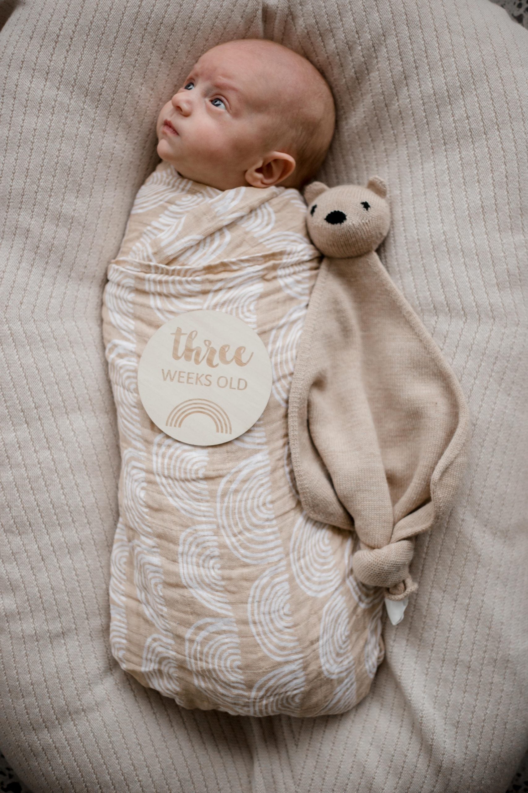 Zebra Babies Milestone Discs Hello World To 1 Year Old