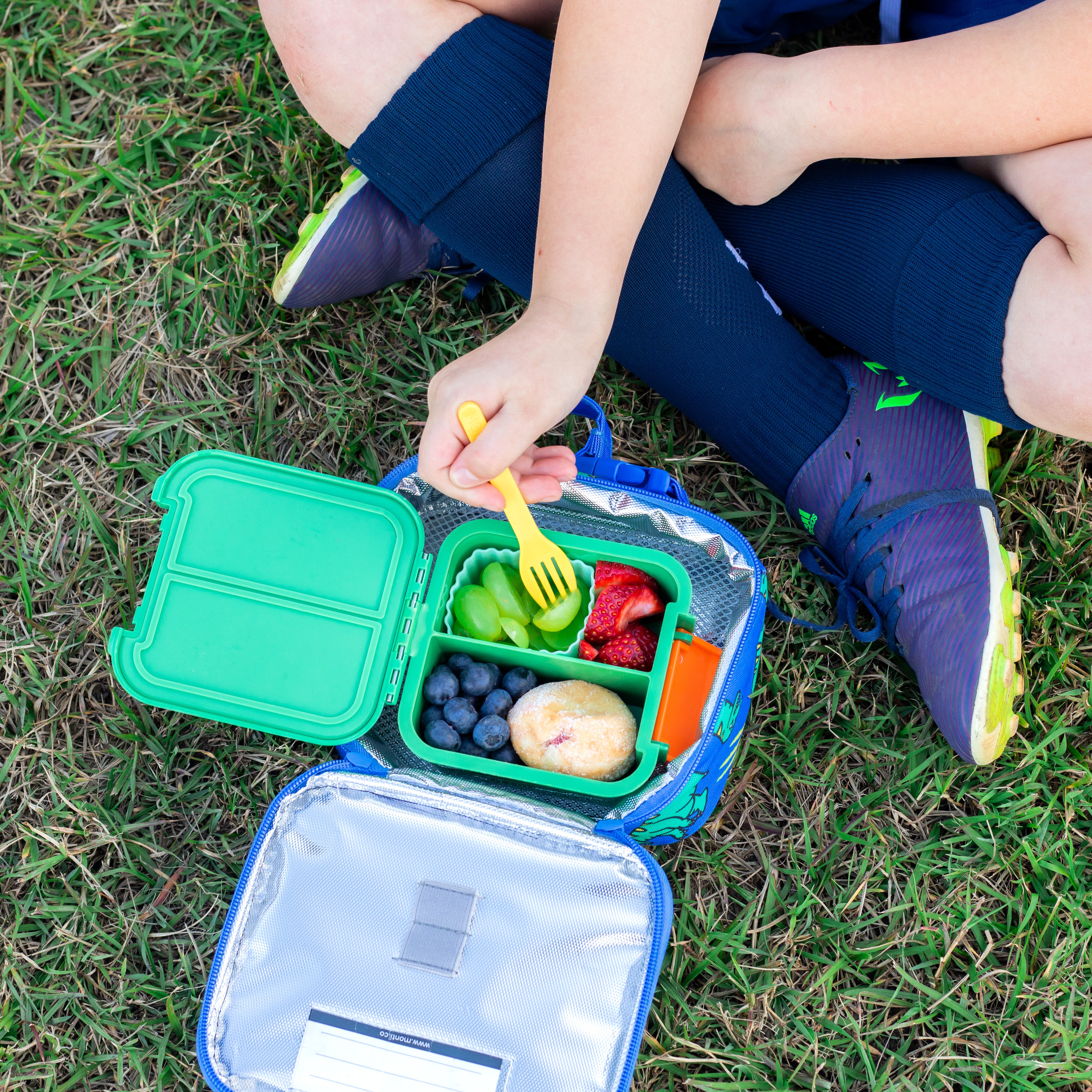 15 Lunch Box Snack Ideas for Kids
