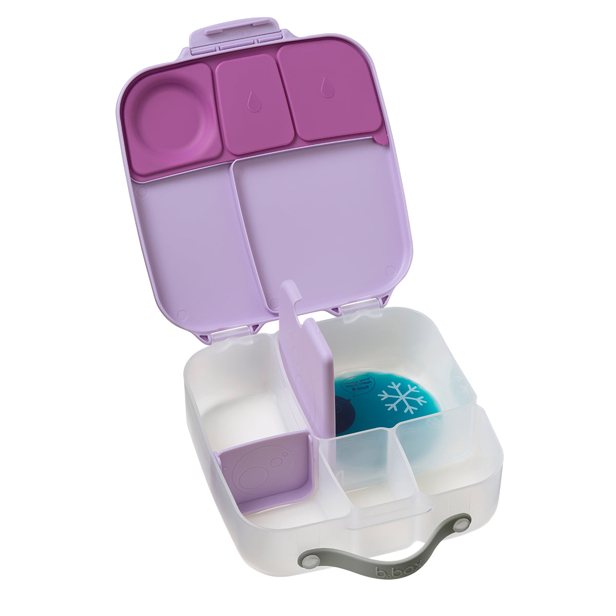 b.box Lunchbox - Sugar Plum