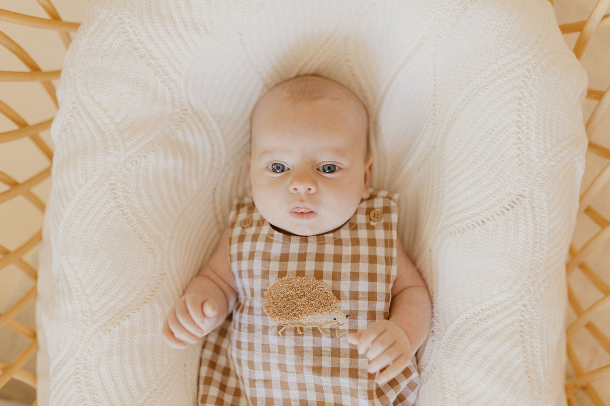 Confetti Kidz Woodland Gingham Romper
