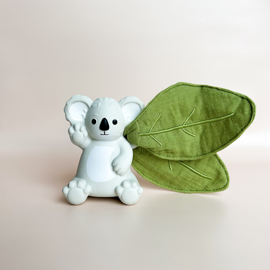 Winnie Parkes Banks the Koala Rattle & Scrunch
