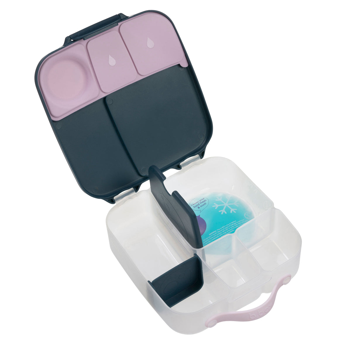 b.box Lunchbox 2lt Indigo Rose