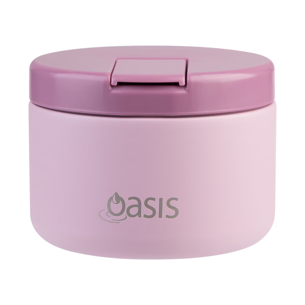 Oasis Stainless Steel Dual Wall Insulated Food Flask with Quick Release Lid 300ml