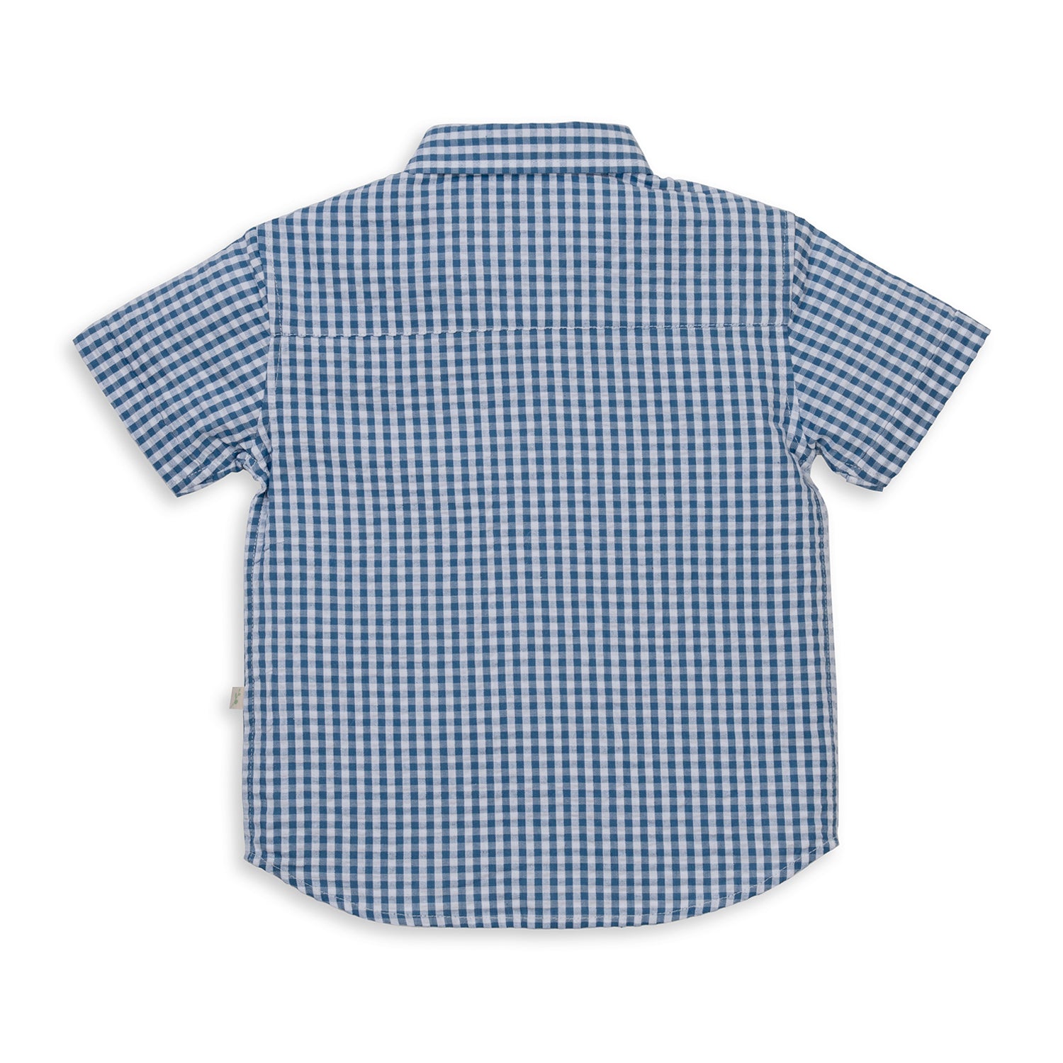 Tiny Twig Boys Shirt - Blue Gingham