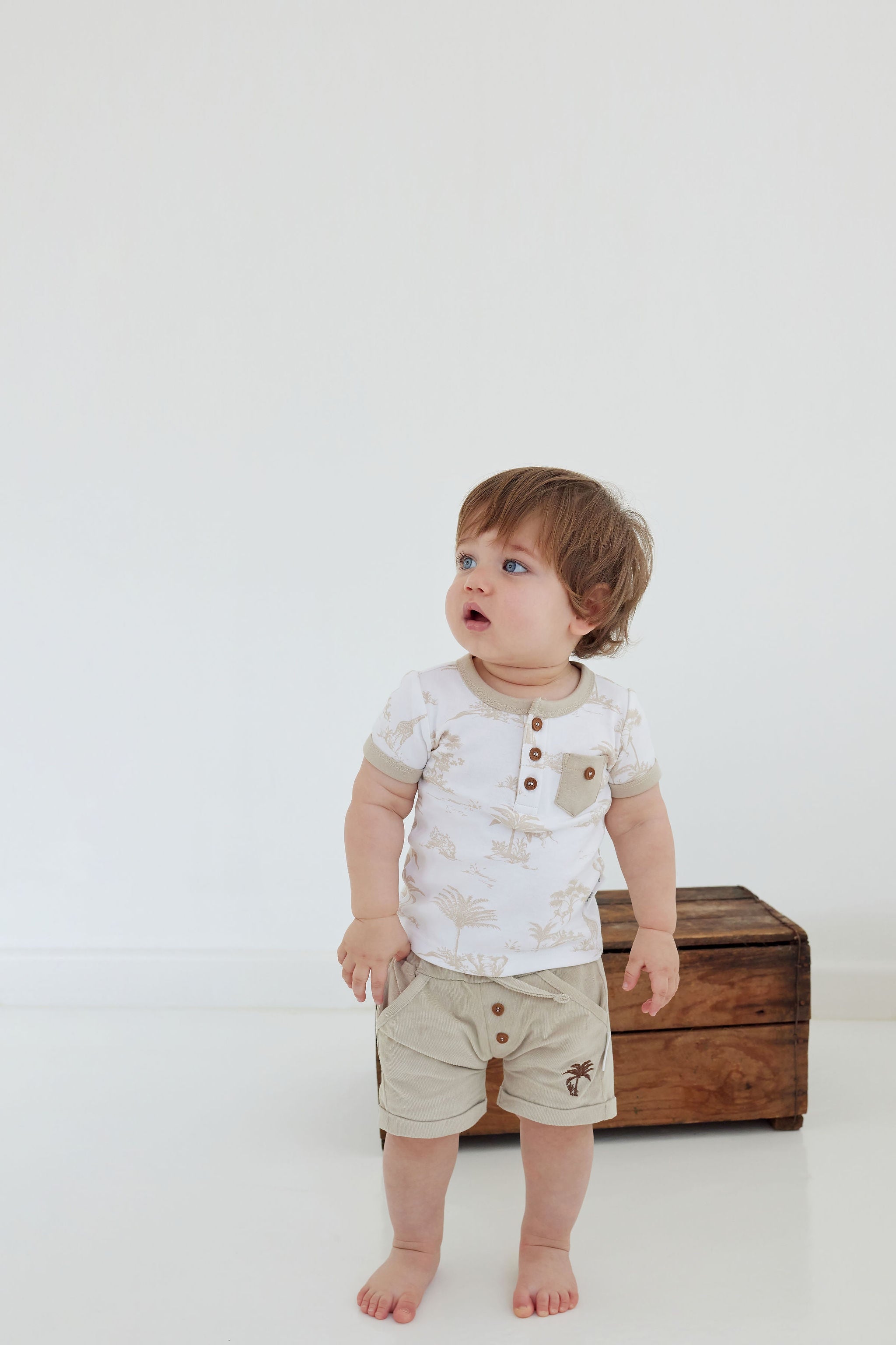 Aster & Oak Sand Cord Shorts