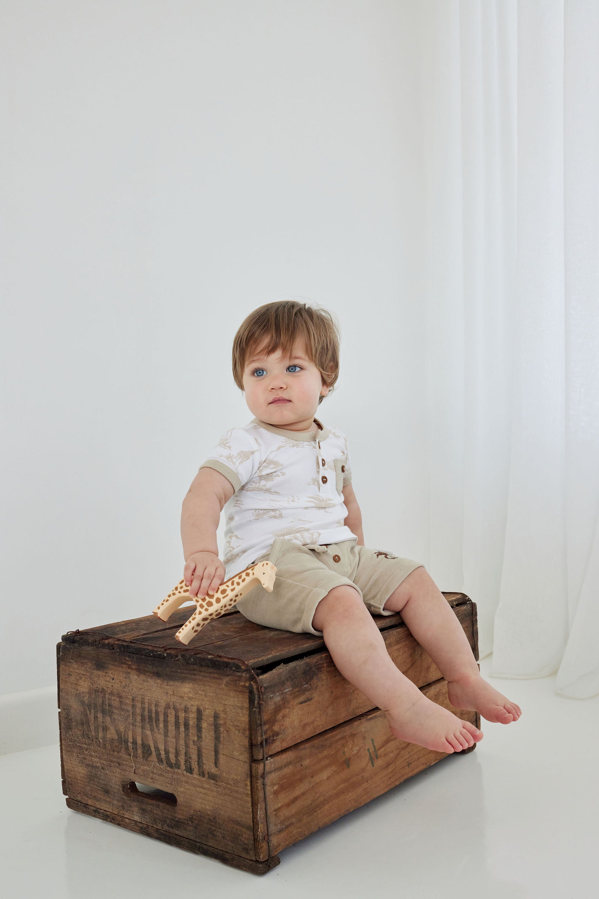 Aster & Oak Sand Cord Shorts