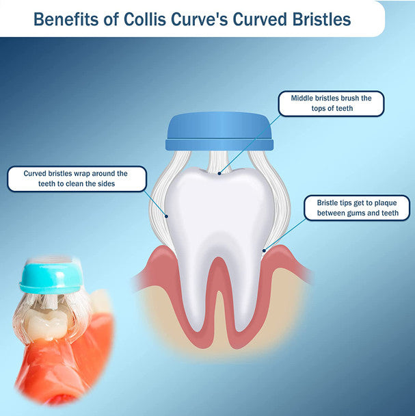 Collis Curve Toothbrushes