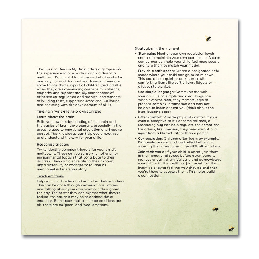 The Play Way The Buzzing in My Brain Story Book